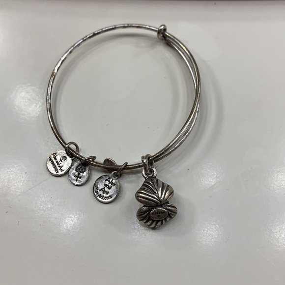 Alex and Ani silver bracelet with charm! - Picture 2 of 2